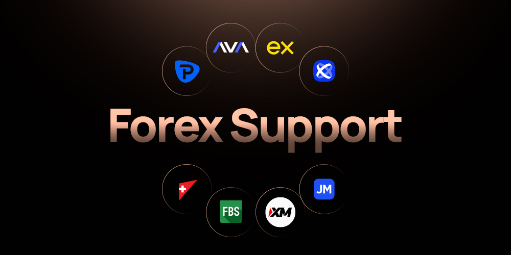 19-FOREX-SUPPORT